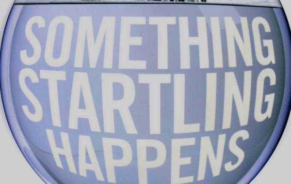 Something Startling happens book