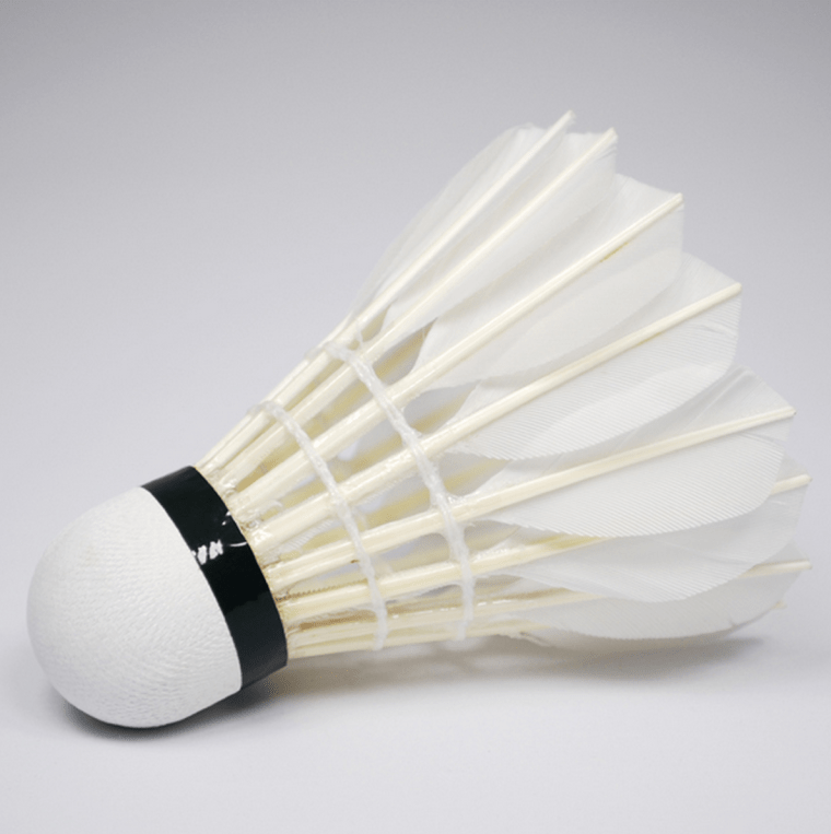 badminton birdie